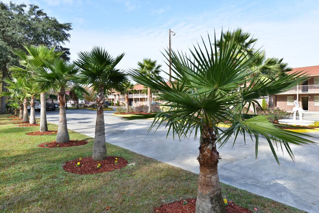 Savannah Inn And Suites Savannah Port Area Servicios foto